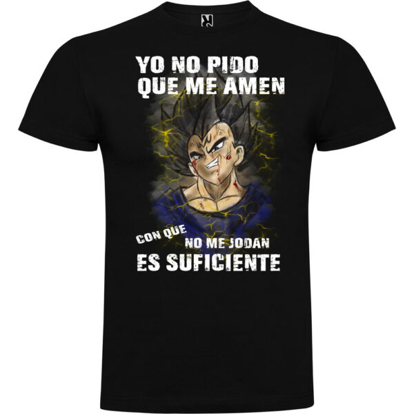 NO PIDO QUE ME AMEN